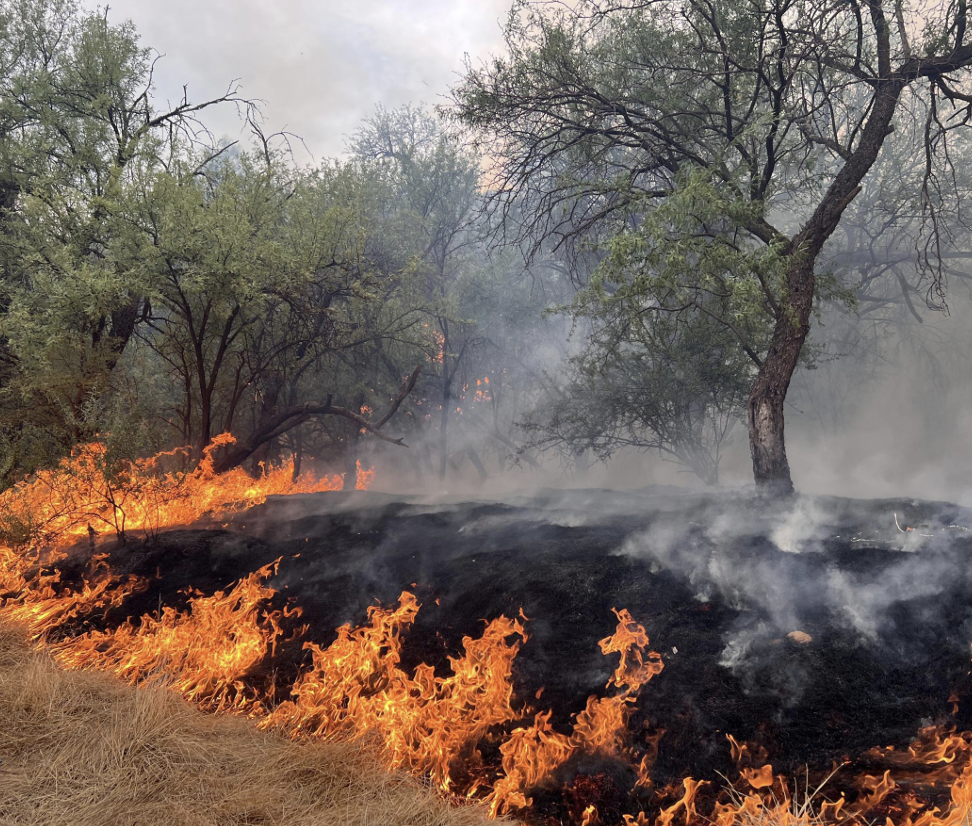 Sand Stone Fire 2024, photo on the cover of the 2024 Southwest Wildfire Season Overview Report. Photo by Nick Castro